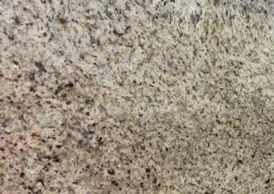 Giallo Ornamental granite slab for custom countertop