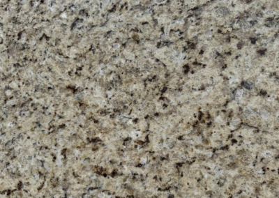 Giallo Ornamental granite slab for custom countertop